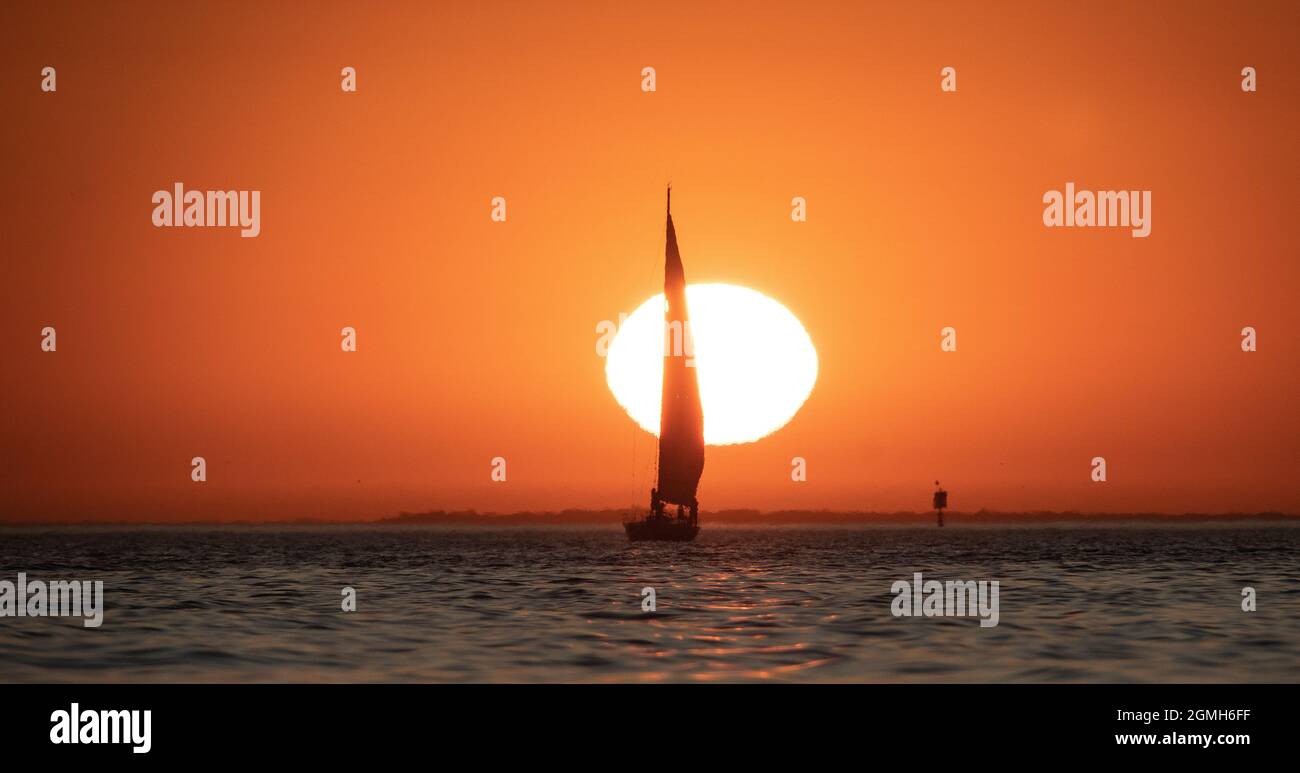 Silhouette al tramonto. Uno yacht che naviga al tramonto attraverso Port Phillip Bay, a Melbourne Australia . Foto Stock