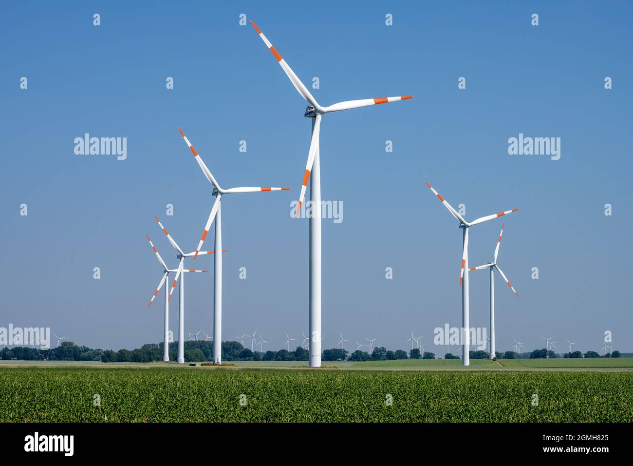 Moderne turbine eoliche di fronte ad un cielo azzurro chiaro visto in Germania Foto Stock