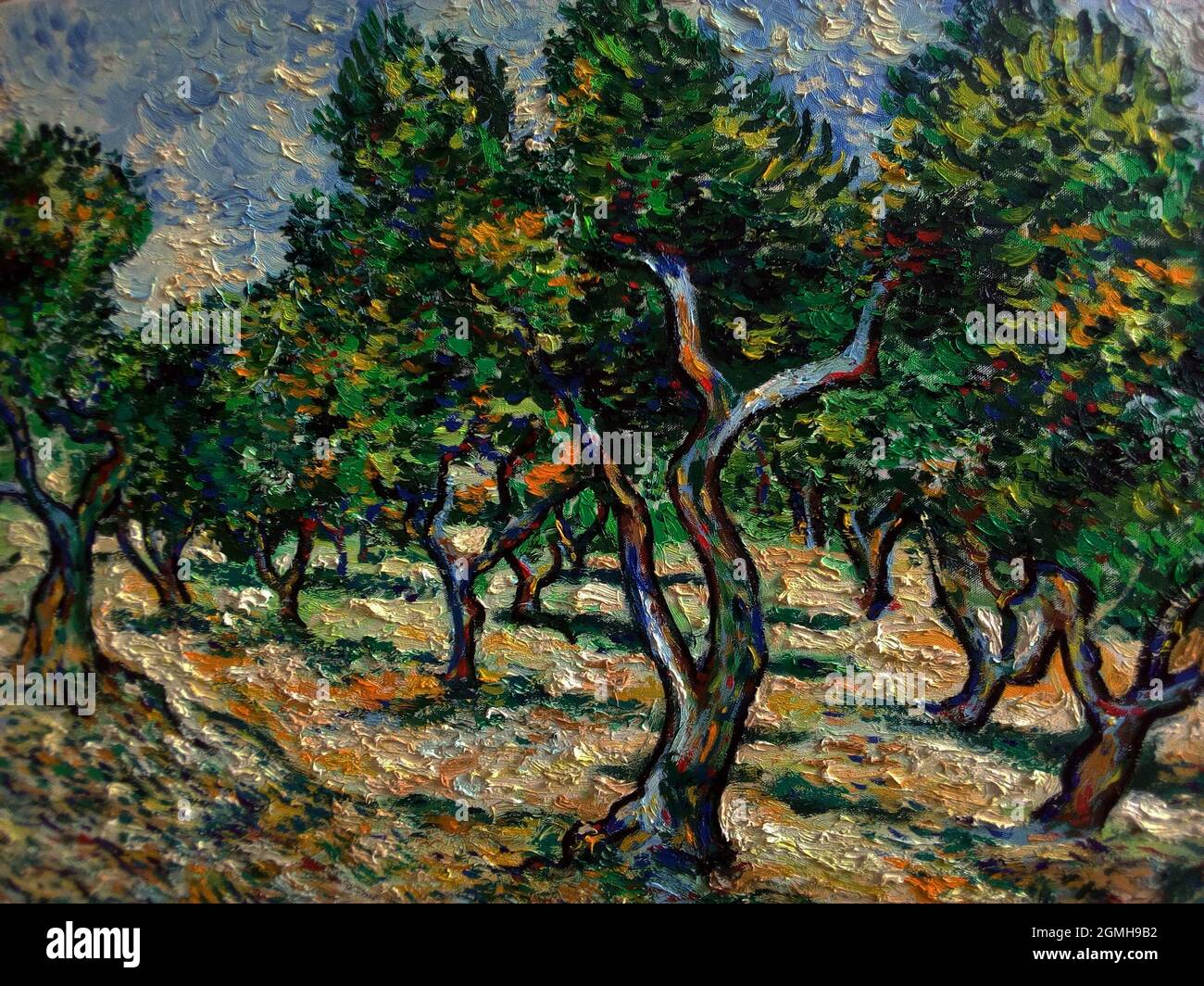 Pittura d'arte Belle Arti colore olio Vista albero di ulivo , van Gogh Foto Stock