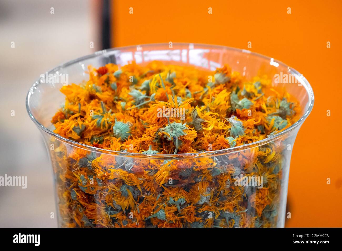 calendula colorato sfondo herb usato in medicina Foto Stock