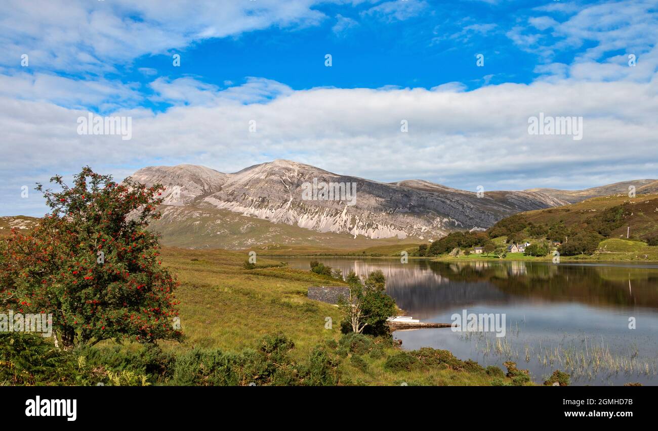 ARKLE MOUNTAIN SUTHERLAND SCOZIA RIFLESSO IN LOCH STACK CON ROWAN ALBERO E BACCHE ROSSE SORBUS AUCUPARIA FINE ESTATE Foto Stock