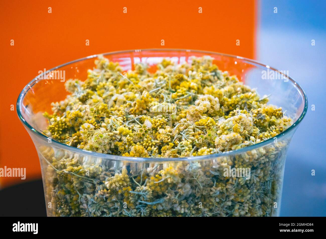 helichrysum corwflower herb fondo essiccato pianta usata in medicina Foto Stock