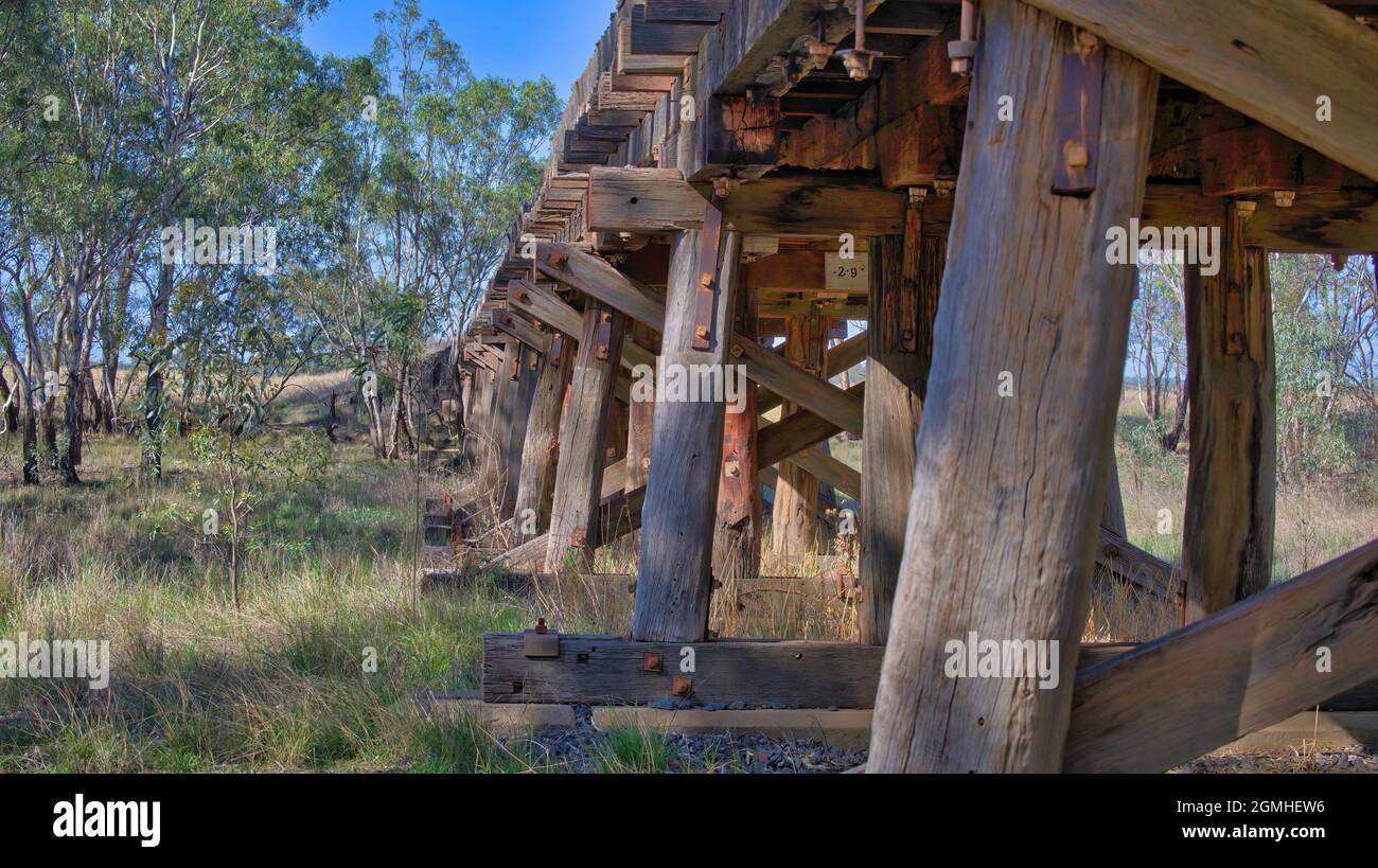 La parte inferiore di un vecchio ponte ferroviario in legno vicino a Narrandera nel NSW Foto Stock