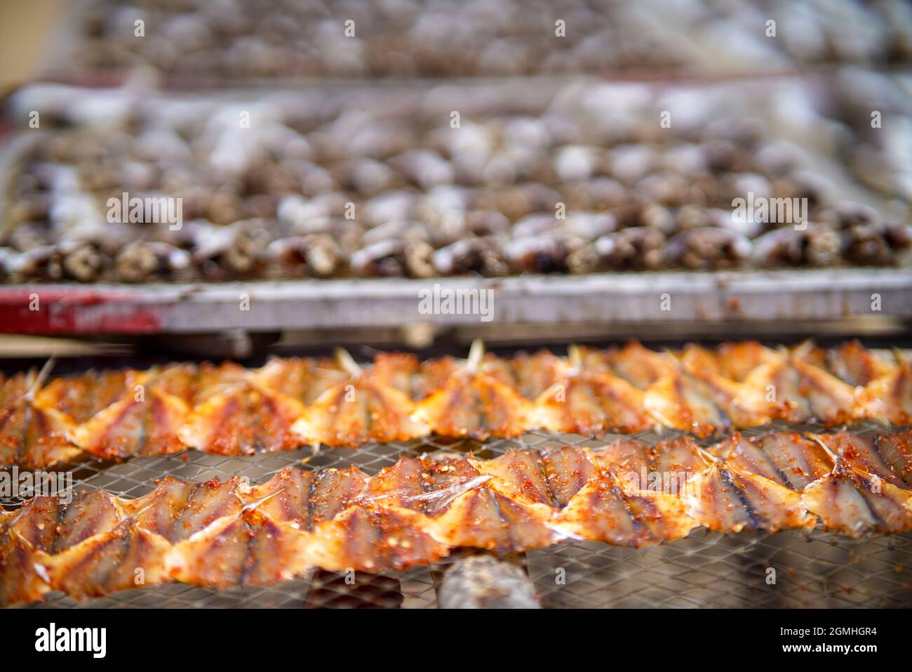 Essiccazione del pesce nella provincia di Ba Ria Vung Tau, Vietnam meridionale Foto Stock