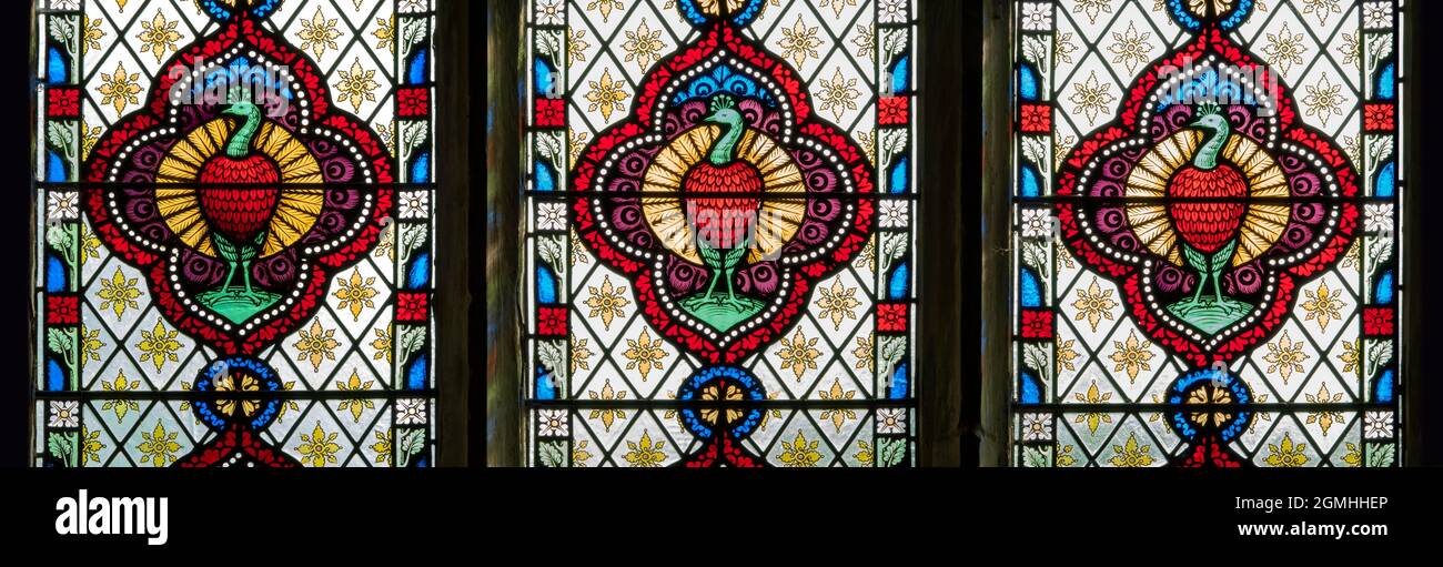 Vetrata Stained Glass, St Peter's Church, Dunton, Norfolk Foto Stock