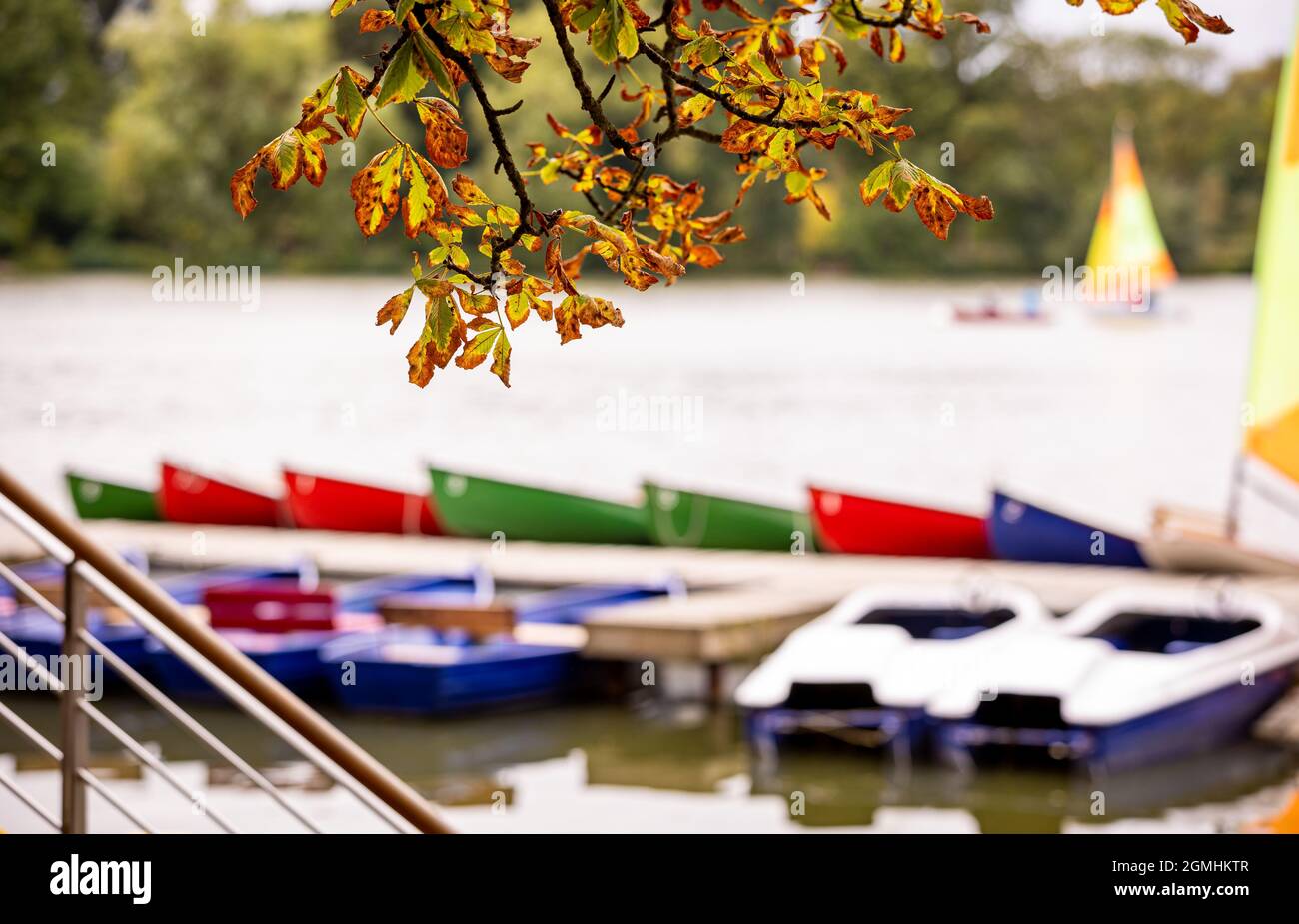 Hannover, Germania. 19 Settembre 2021. Le foglie autunnali si aggrappano sulle barche su un molo al Maschsee quando il tempo è nuvoloso. Credit: Moritz Frankenberg/dpa/Alamy Live News Foto Stock