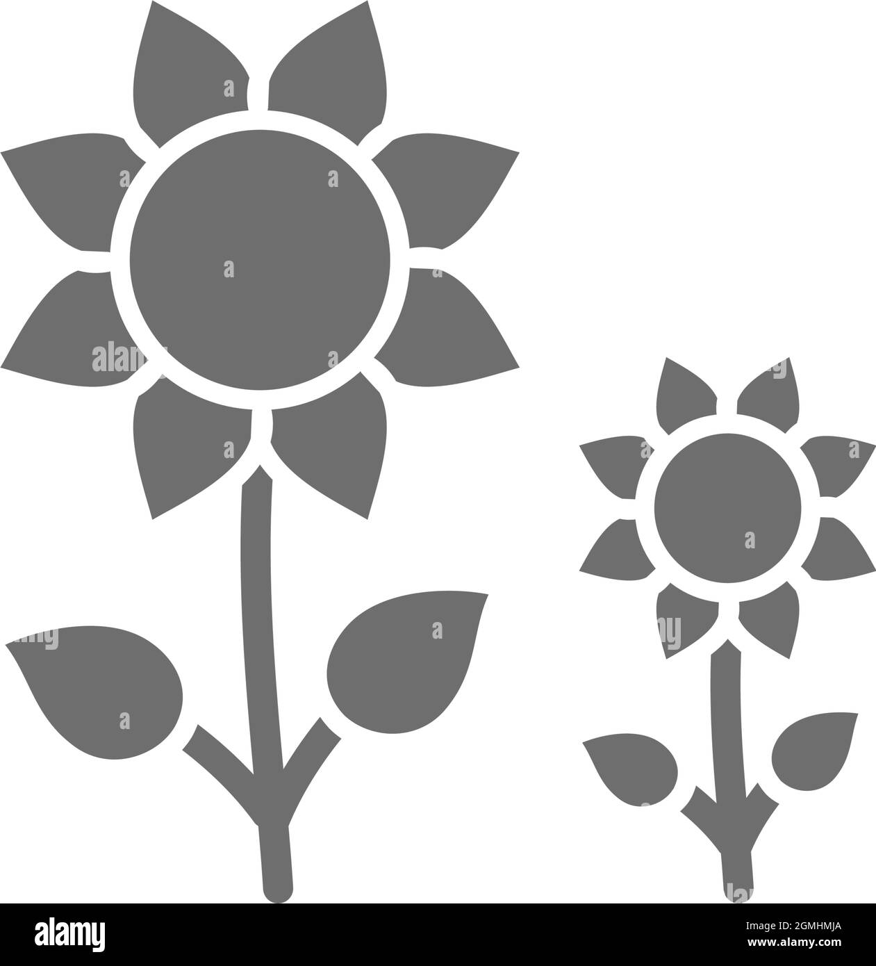 Fiori di girasole icona grigia. Isolato su sfondo bianco Illustrazione Vettoriale