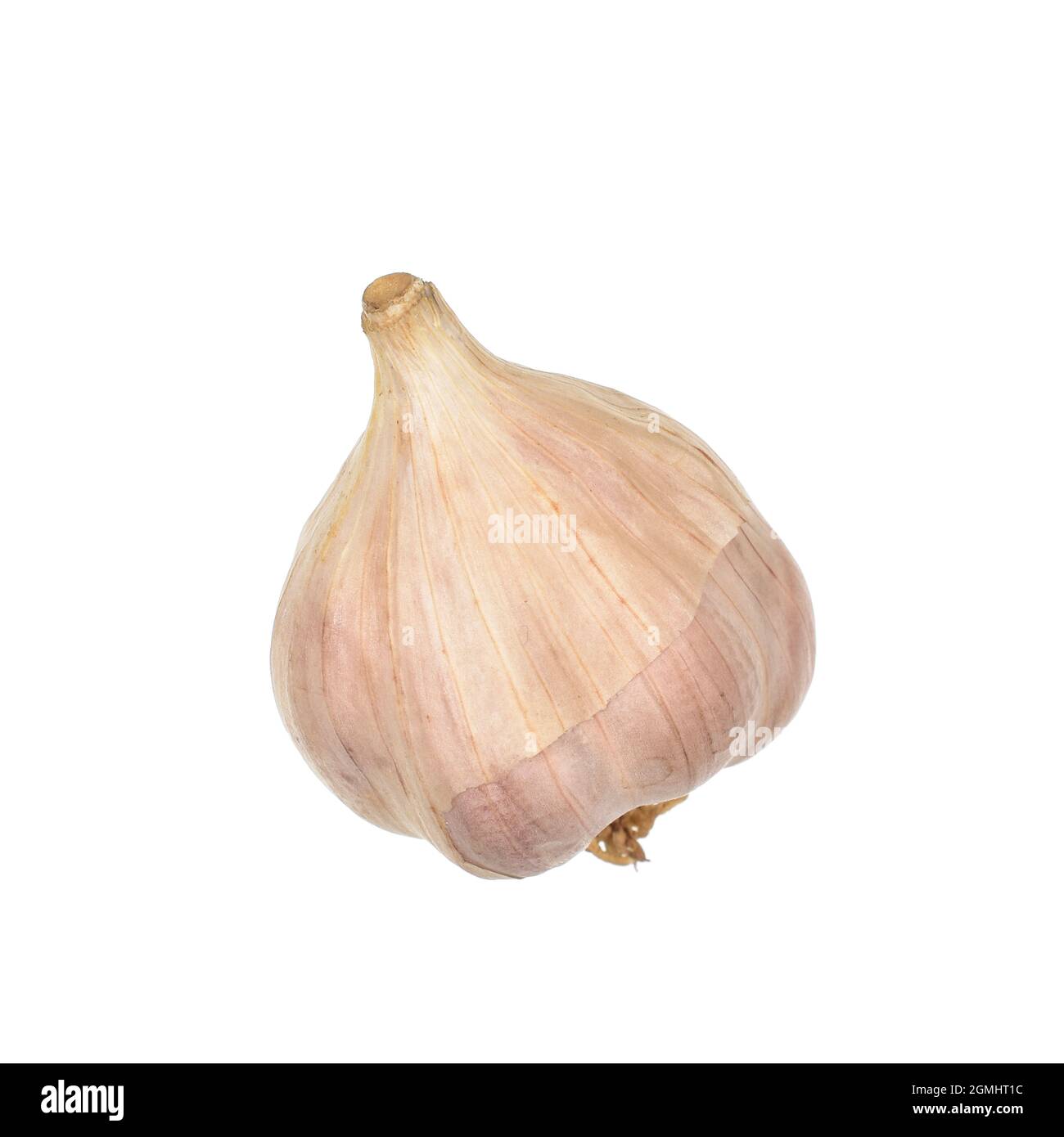 Primo piano di aglio intero isolato su sfondo bianco con Clipping Path Foto Stock