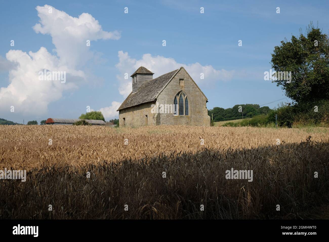 Langley Chapel, Acton Burnell, Shropshire, Inghilterra, Regno Unito. L'antica chiesa è situata in un terreno agricolo in un campo di mais Foto Stock