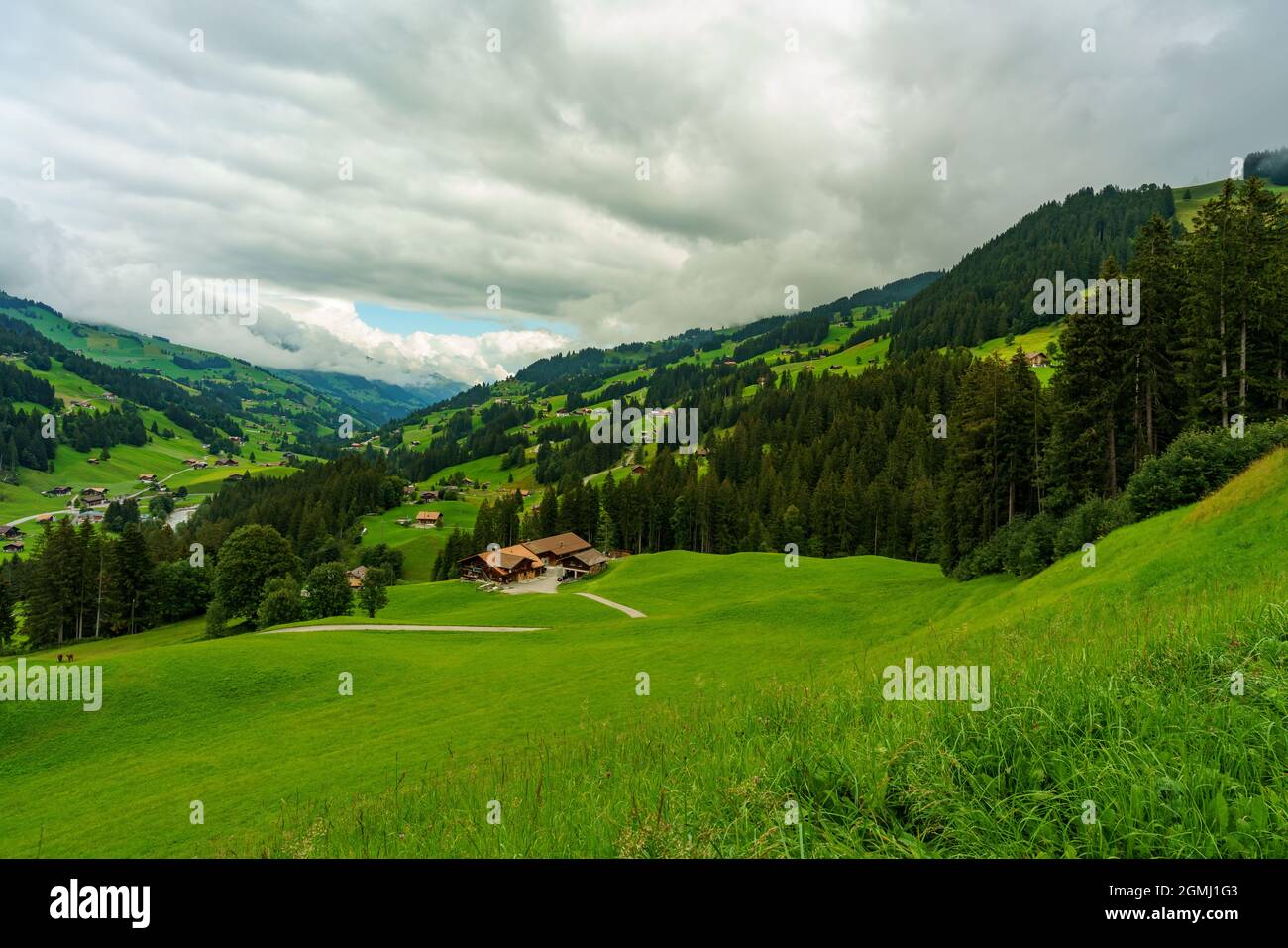 Vista su una giornata polverosa attraverso la valle di Adelboden, Svizzera. Aussicht von Adelboden durch das tal mit Wälder und Wiesen an einem bewölkten Tag Foto Stock