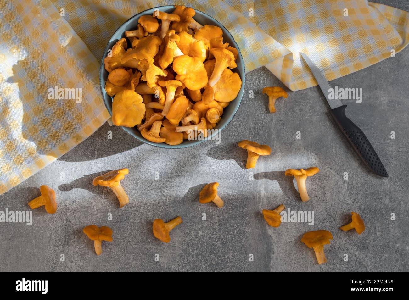 Ciotola di funghi Chanterelle puliti, coltello, asciugamano sul tavolo da cucina il giorno di sole. Foto Stock