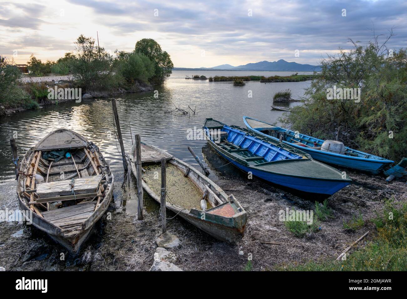 Barche da pesca tradizionali ambraciane sulla piccola isola e Parco ambientale di Salaora, nel Golfo Ambraciano, comune di Arta, Epiro, Grecia. Foto Stock