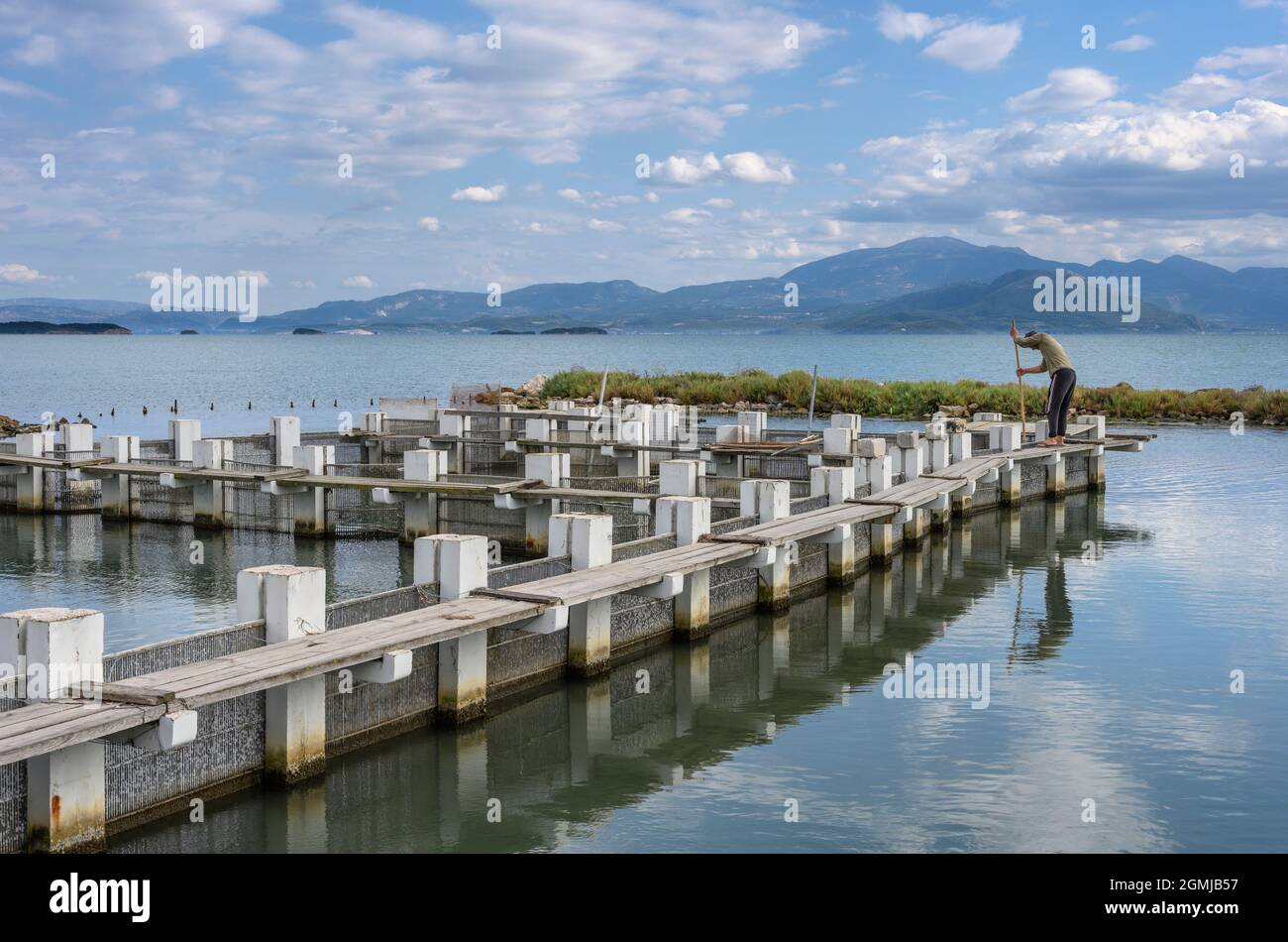 Una trappola di pesci sulla via di causa per Koronisia nel Golfo Ambraciano, comune di Arta, Epiro, Grecia. Foto Stock