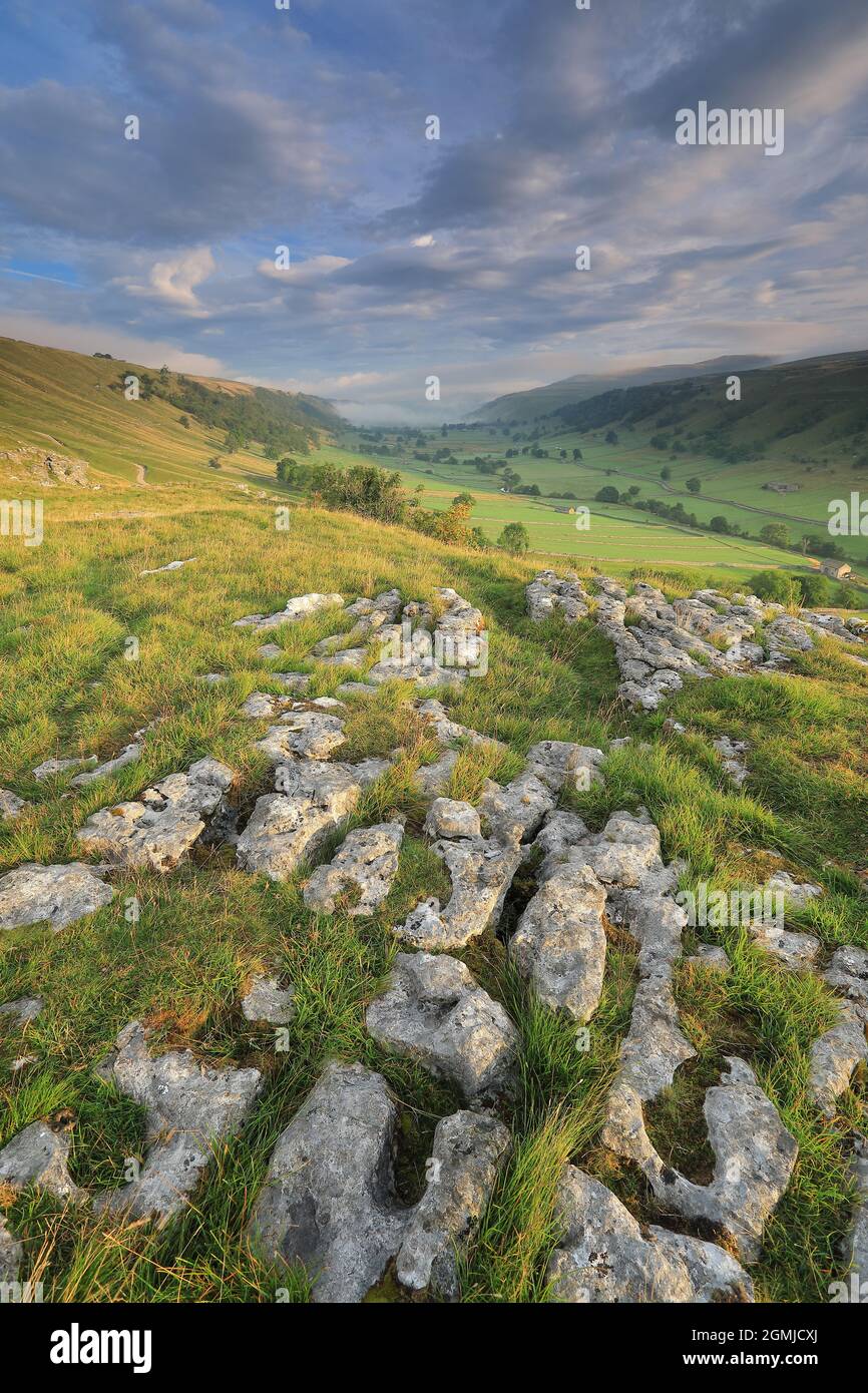 Pavimentazione in pietra calcarea sulle pendici sopra Kettlewell in Upper-Wharfedale, Yorkshire Dales National Park Foto Stock