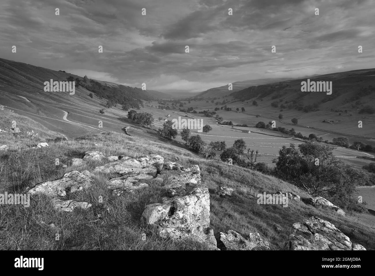 Un affioramento di rocce calcaree sulle pendici sopra Kettlewell in Upper-Wharfedale, Yorkshire Dales National Park Foto Stock