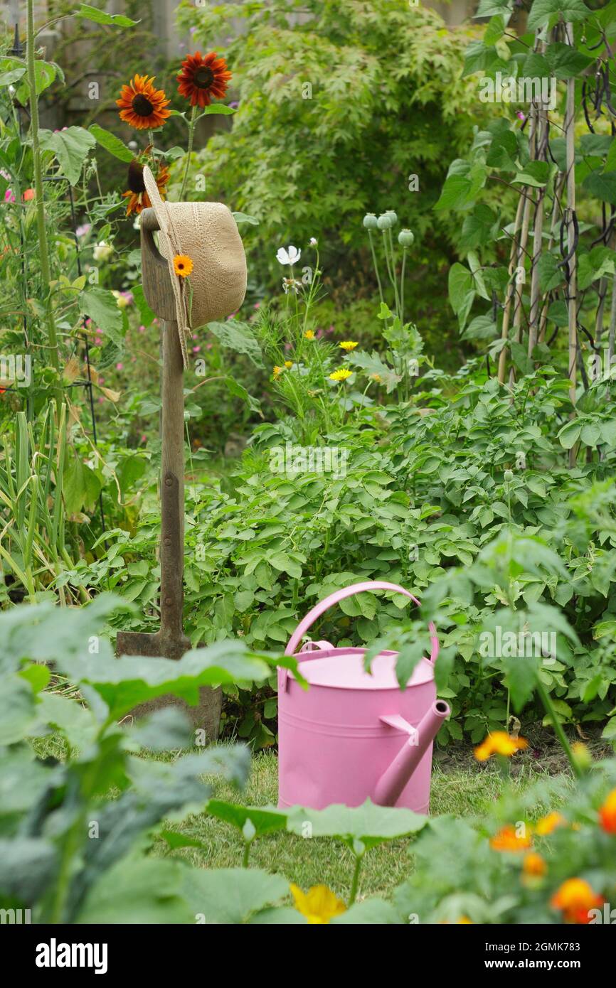 Un orto domestico con fagioli francesi, patate, cavalo nero kale, aglio e più oltre a piselli dolci, girasole, marigold e fiori di cosmo. REGNO UNITO Foto Stock