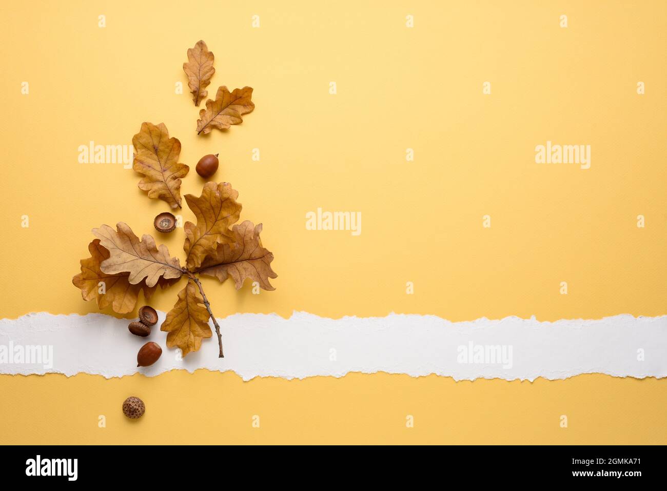 Sfondo autunnale con foglie di quercia e carta da appunti per spazio di copia per il testo Foto Stock