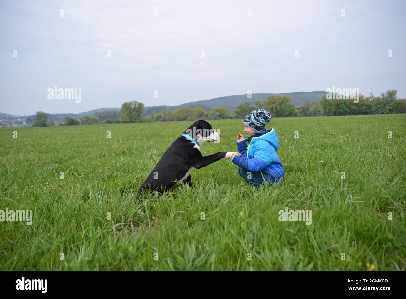 Il cane dà al ragazzo la zampa Foto Stock