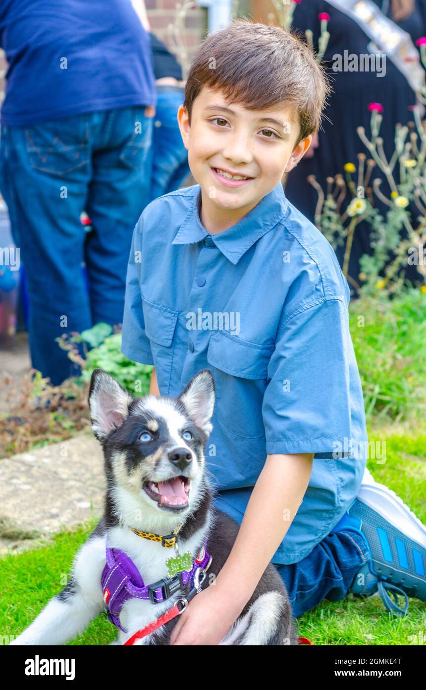 Un ragazzo gioca con un cucciolo che è una crossbreed Husky fuori in un giardino Foto Stock