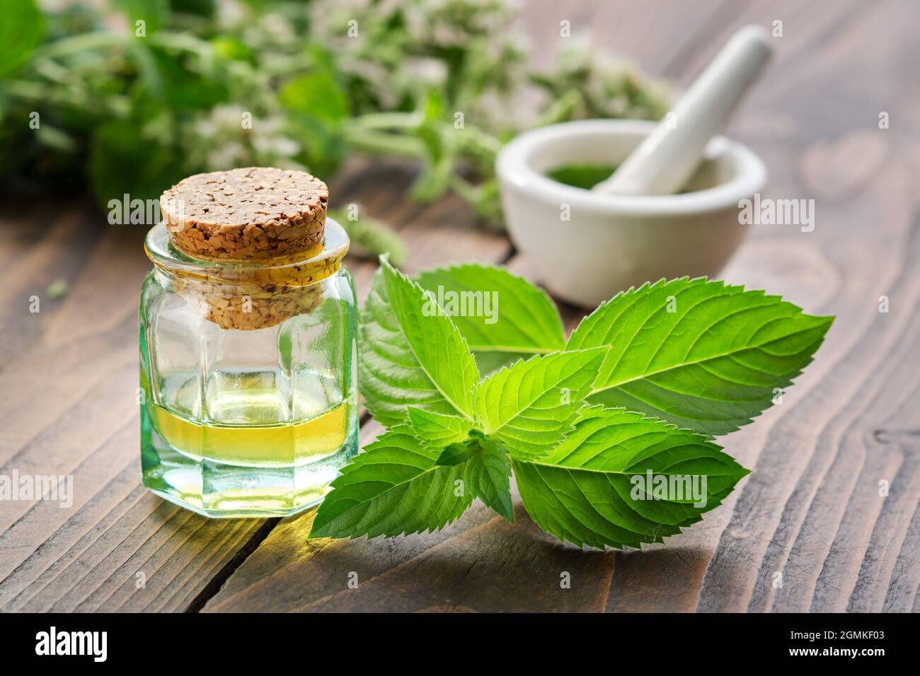 Bottiglia di olio essenziale di menta e foglie di menta piperita. Mortaio di foglie di menta verde e fiore Mertha piperita piante medinali su sfondo. Foto Stock