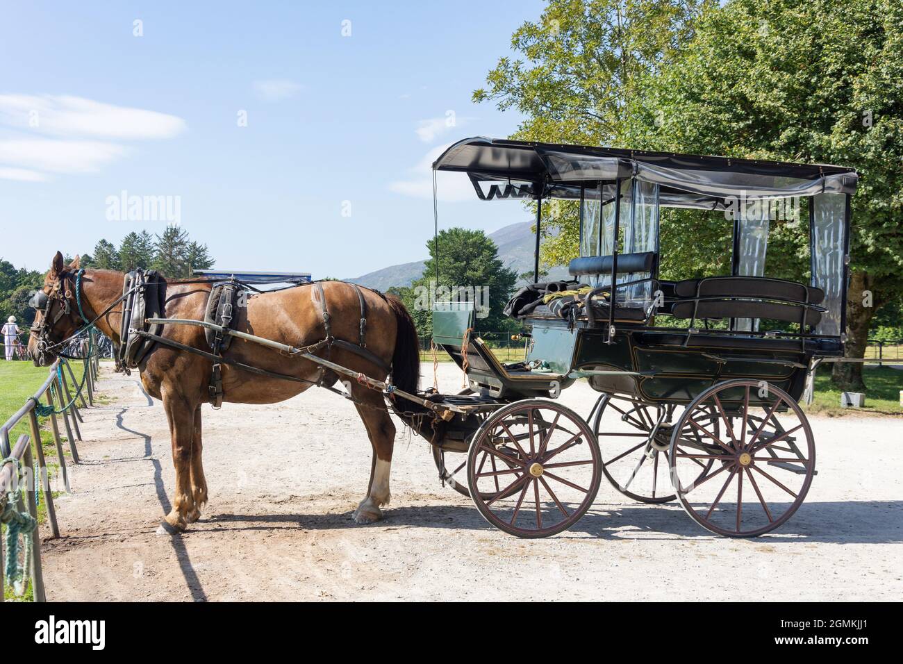 Passeggiate in carrozza a cavallo alla casa di Muckross 19 ° secolo, il Parco Nazionale, Killarney (Cill Airne), County Kerry, Repubblica d'Irlanda Foto Stock