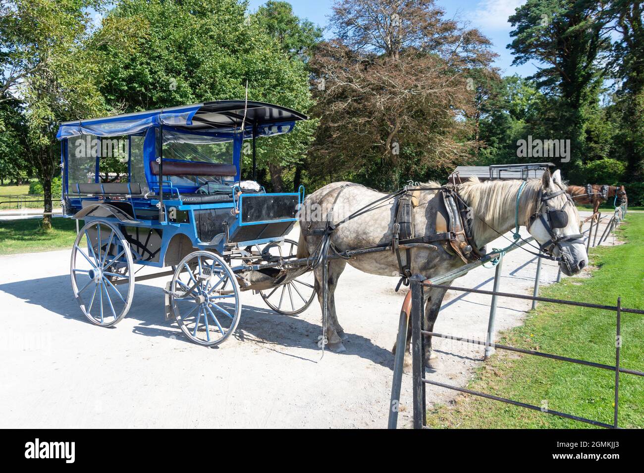 Passeggiate in carrozza a cavallo alla casa di Muckross 19 ° secolo, il Parco Nazionale, Killarney (Cill Airne), County Kerry, Repubblica d'Irlanda Foto Stock