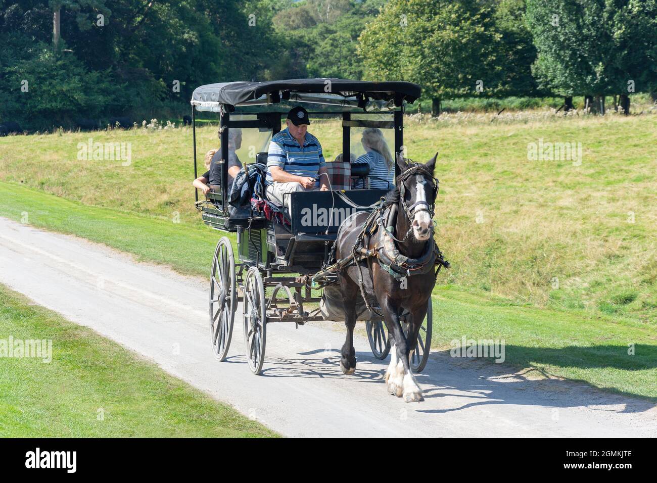 Giro in carrozza a cavallo alla casa di Muckross 19 ° secolo, il Parco Nazionale, Killarney (Cill Airne), County Kerry, Repubblica d'Irlanda Foto Stock