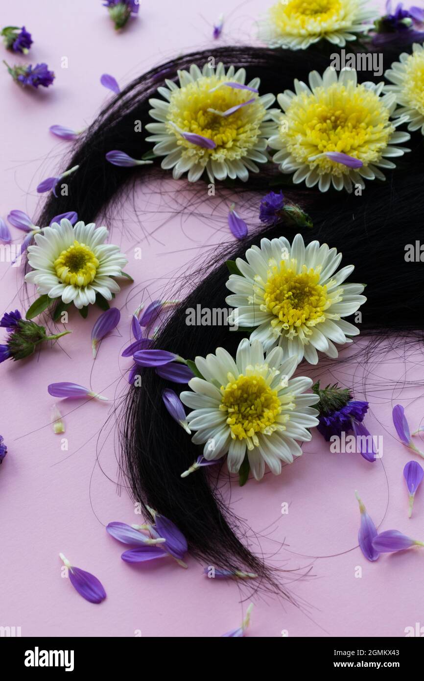 Capelli scuri con fiori gialli e petali su di esso. Concetto di cura dei capelli. Foto Stock