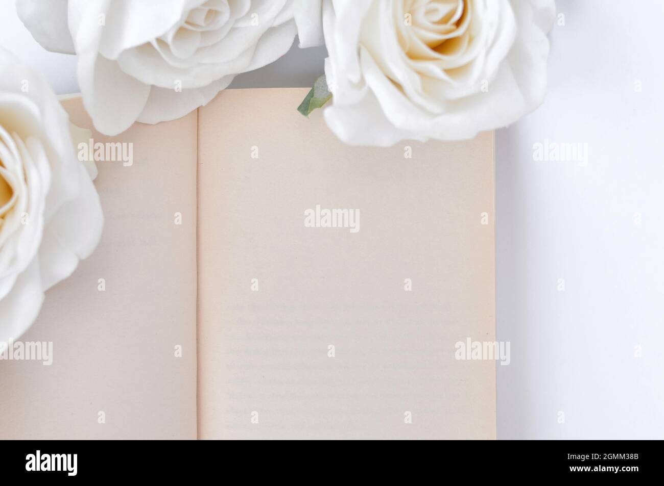 un libro e rose bianche sul tavolo, spazio vuoto per il titolo Foto Stock