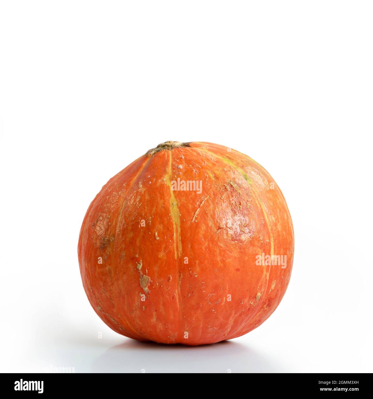 Zucca. Cucurbita pepo. Un po' di squash arancione isolato su sfondo bianco. Cucurbitaceae. Nuovo raccolto da giardino Foto Stock