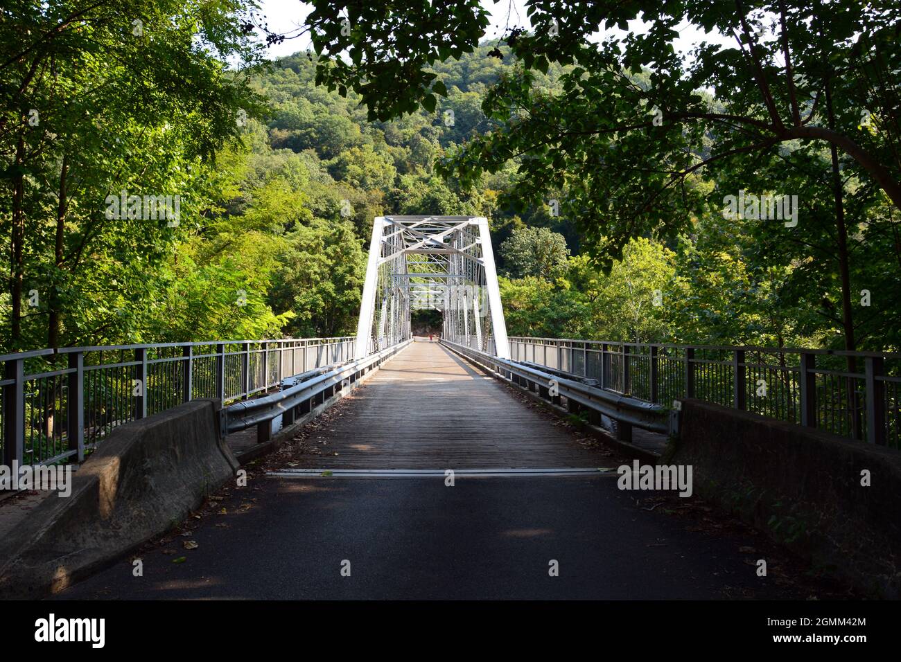 L'Hunsaker Bridge, costruito nel 1889 in fondo a una strada tortuosa, fu l'unico incrocio del New River fino all'apertura del New River Gorge Bridge nel 1977. Foto Stock