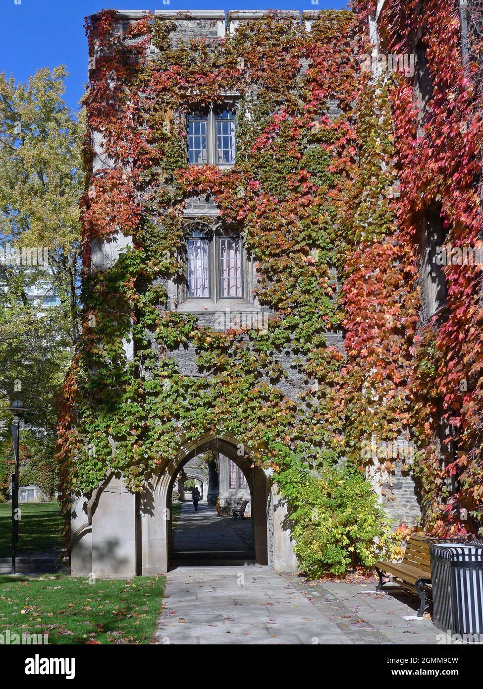 Edificio collegiale in pietra di stile gotico coperto di edera in brillanti colori autunnali Foto Stock