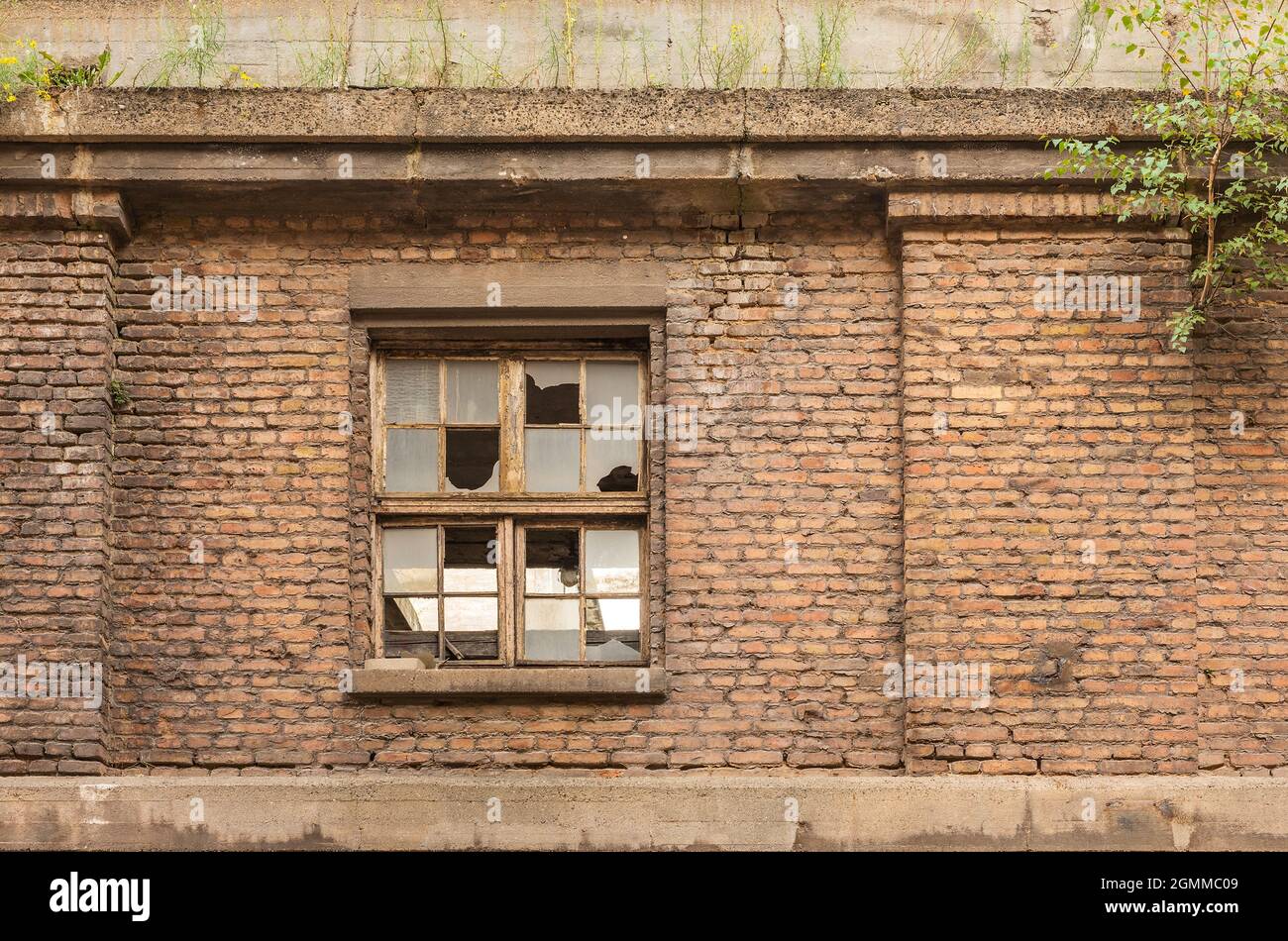 finestre rotte in una vecchia fabbrica rovinata Foto Stock