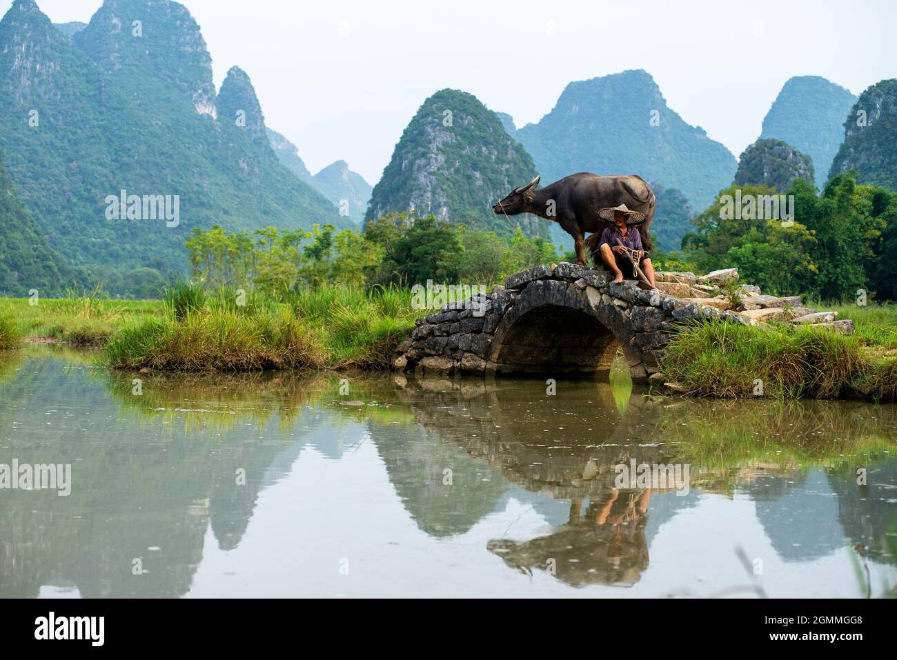 GUILIN, Cina - 20 settembre 2017: un agricoltore accompagna la sua buffalo a casa dopo una giornata di lavoro in Huixiang, una piccola città con il Carso e paesaggio di calcare Foto Stock