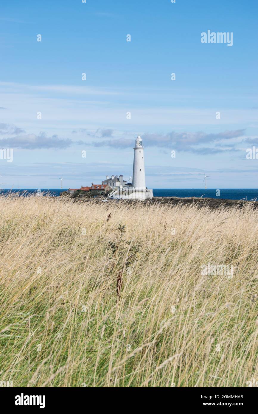 Faro di St Mary sulla costa nord-orientale a Whitley Bay Foto Stock