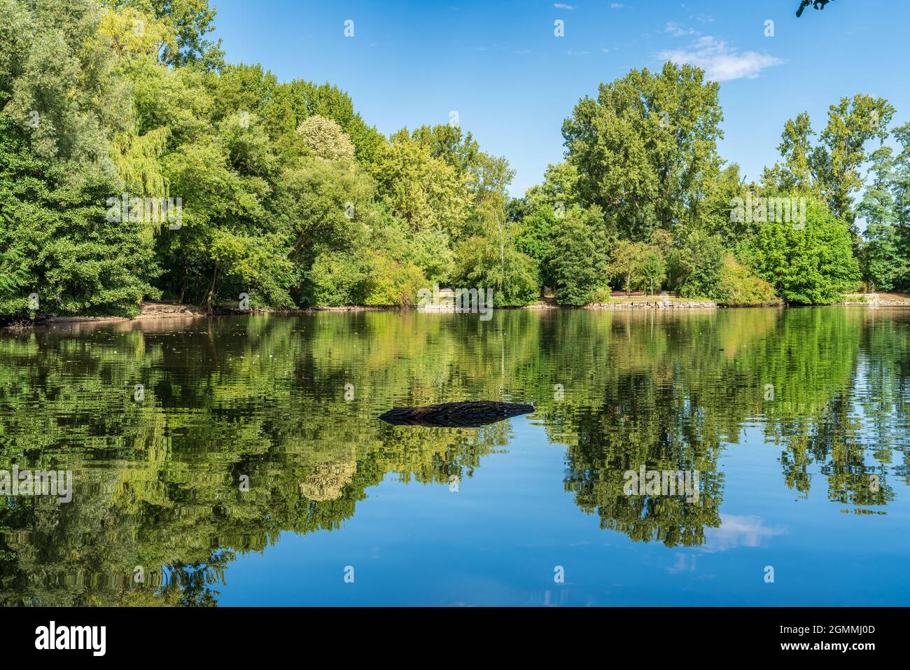 Vista sullo stagno del parco a Sterkrade, Oberhausen, Nord Reno-Westfalia, Germania Foto Stock