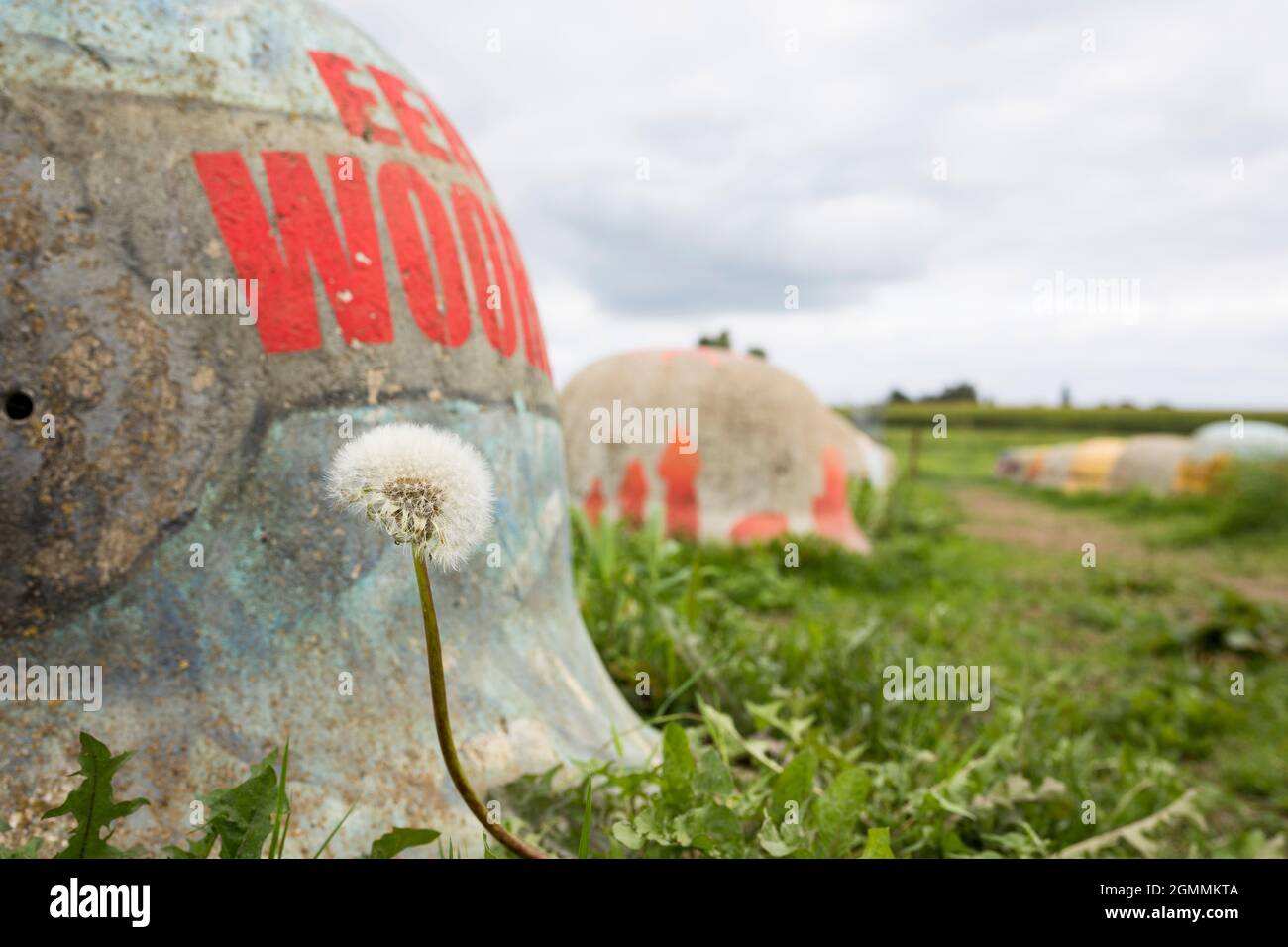 Monumento della prima guerra mondiale con caschi in cemento in un paesaggio in Belgio Foto Stock