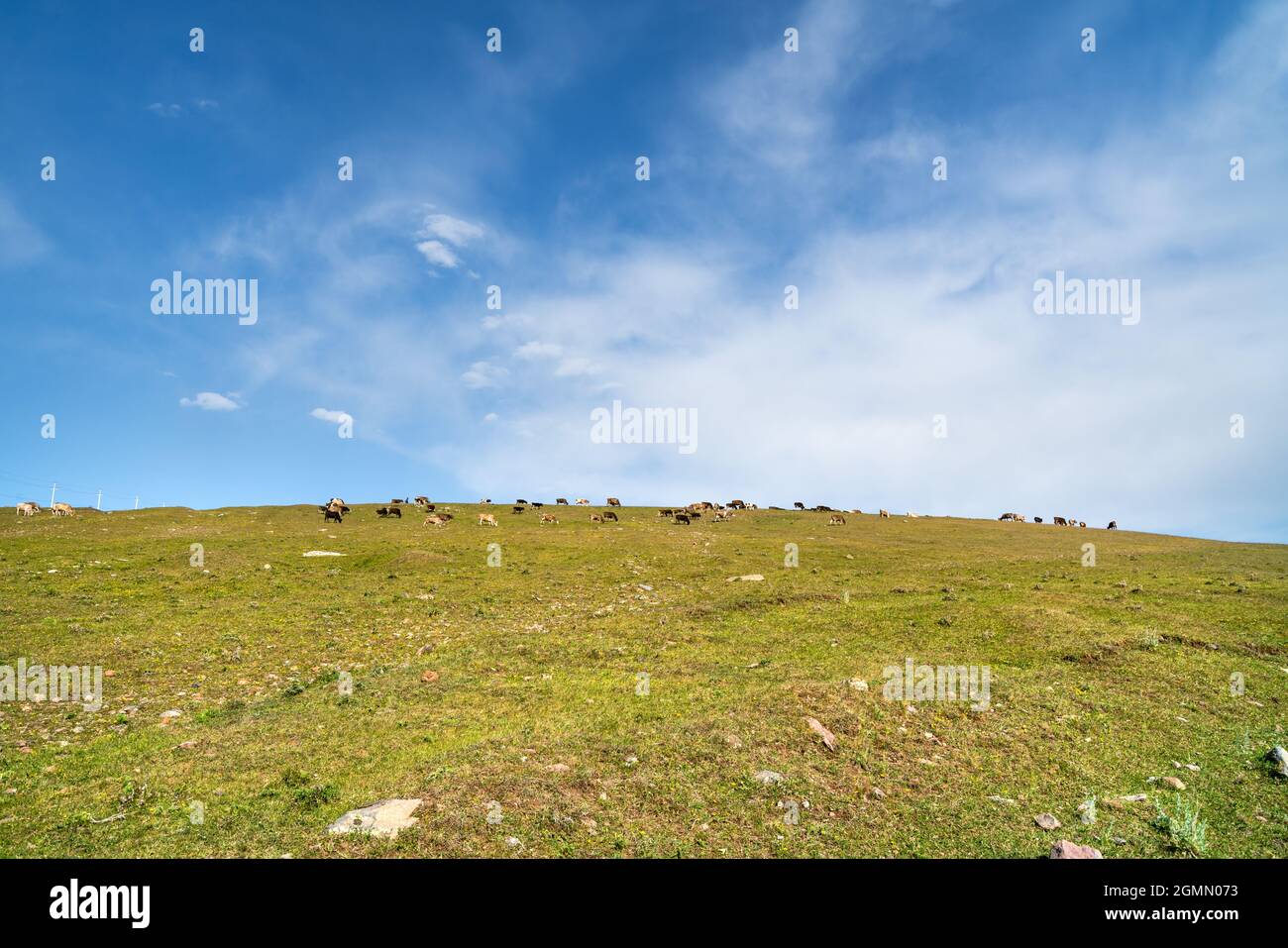 Passo di montagna nelle province di Shirak e Lori in Armenia Foto Stock