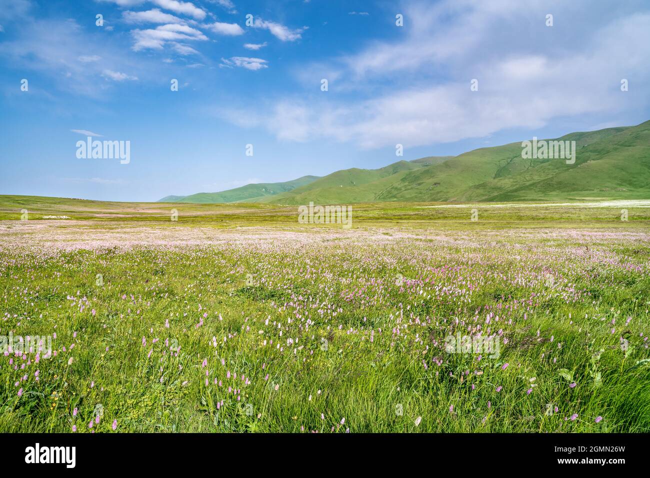 Passo di montagna nelle province di Shirak e Lori in Armenia Foto Stock