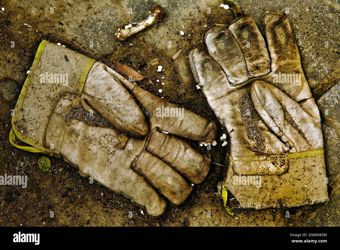 Disastro alluvione 2021 Ahrtal, valle Ahr, guanti da lavoro in terra, Germania, Renania-Palatinato, Eifel, Bad Neuenahr-Ahrweiler Foto Stock