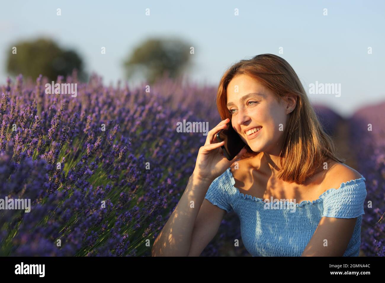 Donna felice che parla su smartphone in un campo di lavanda al tramonto Foto Stock