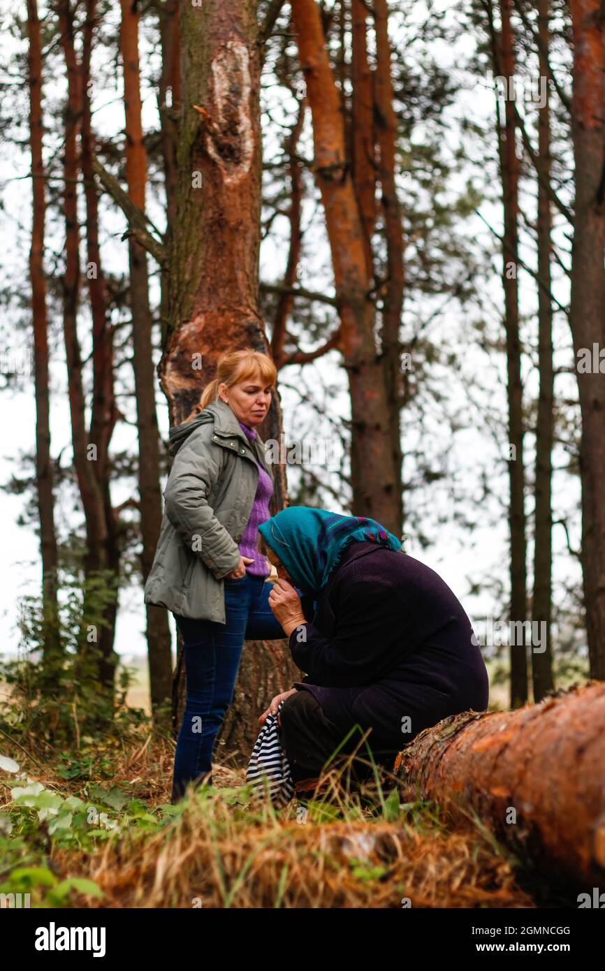 Vista laterale sfocata di due donne che camminano nella pineta e seduta su tronco di legno. Tempo libero e concetto di gente, madre e figlia nella foresta autunnale. Persone Foto Stock