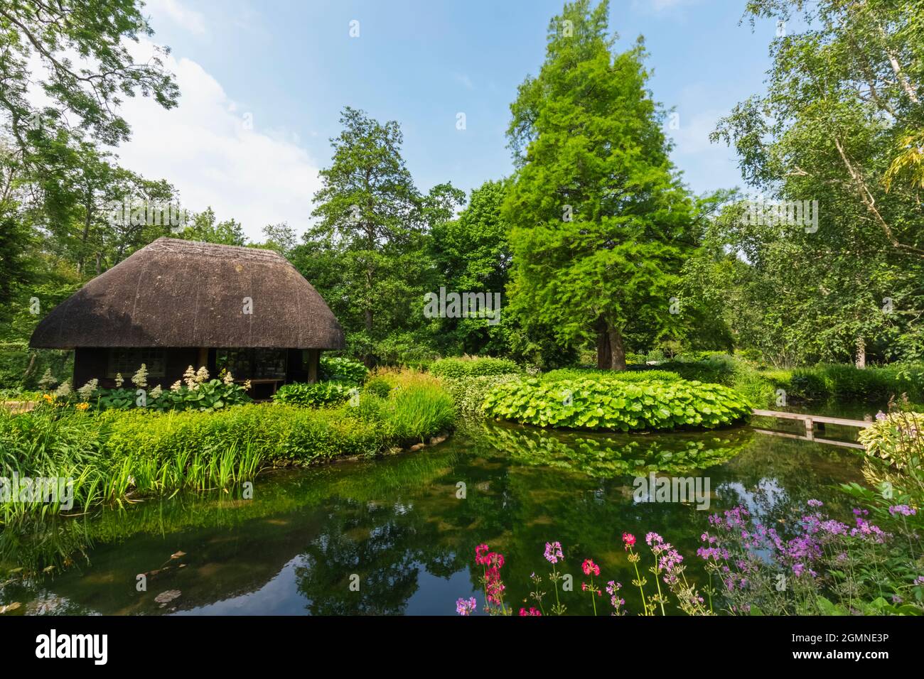 Inghilterra, Hampshire, Test Valley, Stockbridge, Longstock, Leckford Estate, Longstock Park Water Gardens Foto Stock