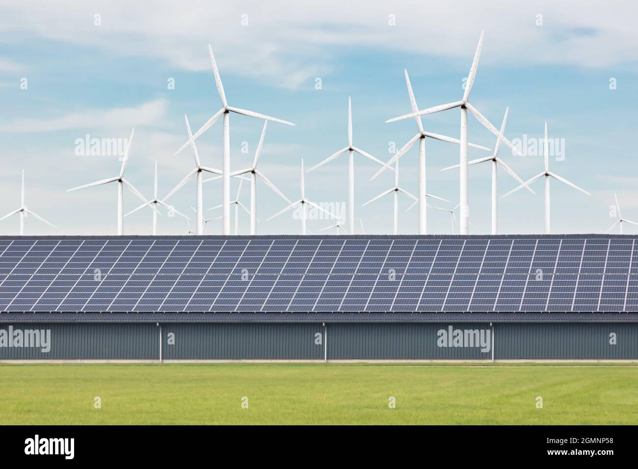 Olandese moderna casa colonica con tetto a pannelli solari di fronte ad un grande parco eolico con turbine eoliche Foto Stock