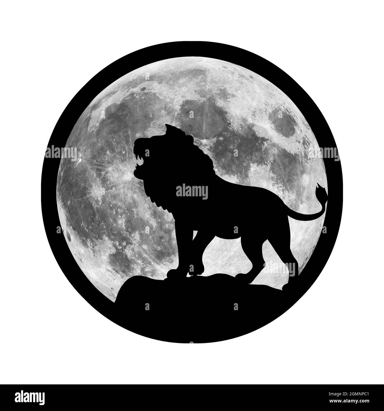 La silhouette di un leone o tigre sullo sfondo della luna. Illustrazione di un gatto selvatico predatore. Un parente del gallo, pantera, leopardo Foto Stock
