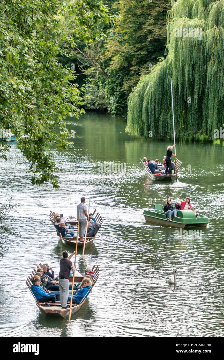 Stochrekähne auf dem Neckar in Tübingen, Baden-Württemberg, Germania, Europa Foto Stock