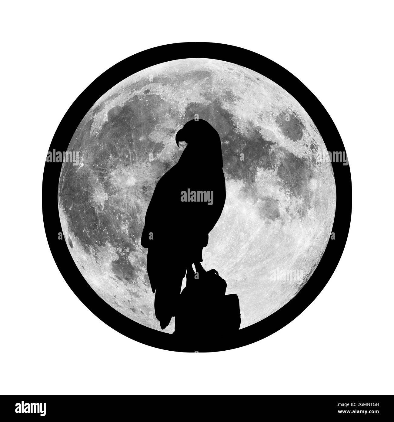 La silhouette di un'aquila sullo sfondo della luna. Illustrazione di un uccello di preda, un parente di falco, un falco, un gufo, un avvoltoio Foto Stock