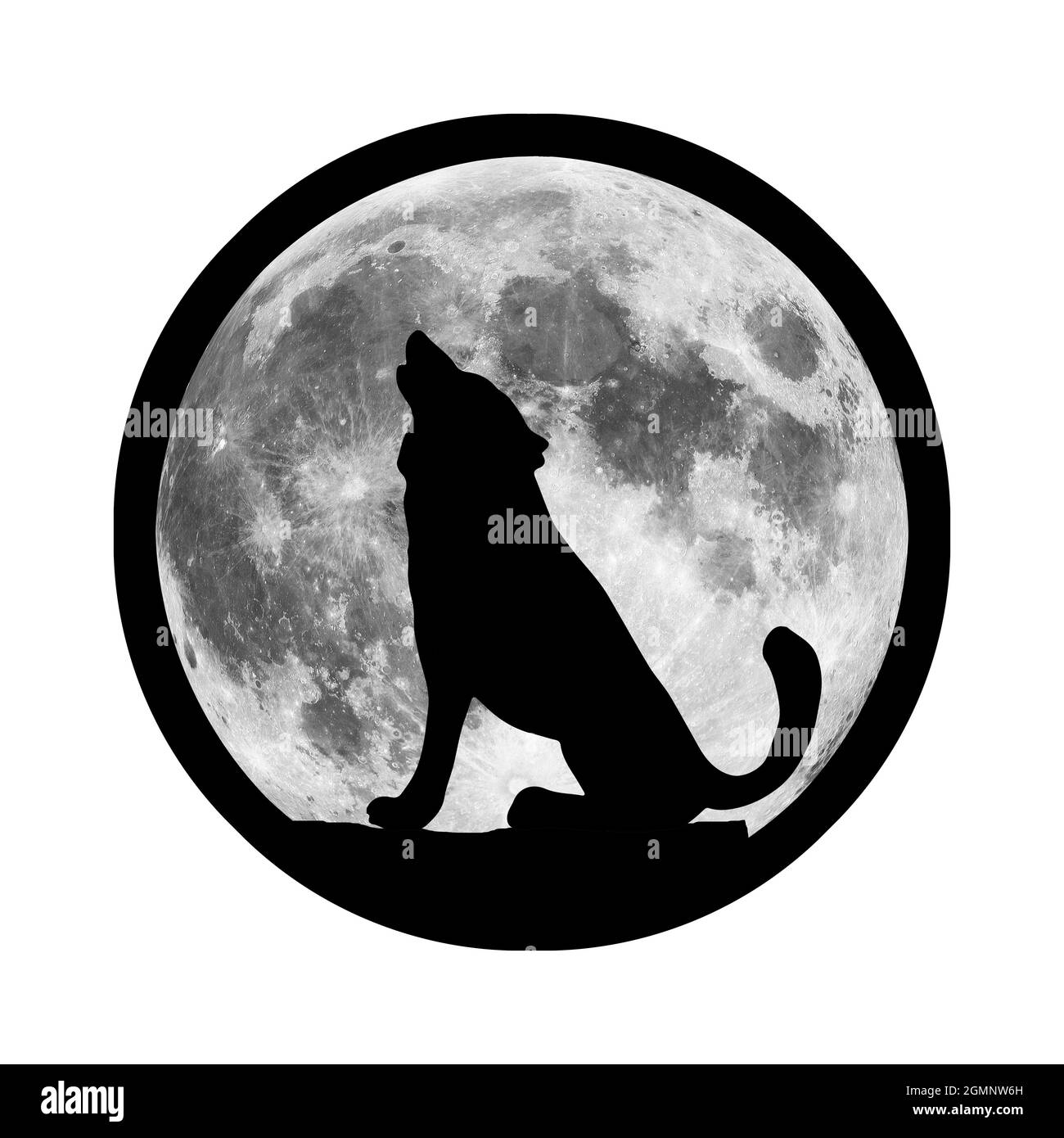 Un lupo urla alla luna di notte. Un predatore affamato caccia la sua preda nel buio. Un pacco di terribili predatori con denti enormi sta cercando preda Foto Stock