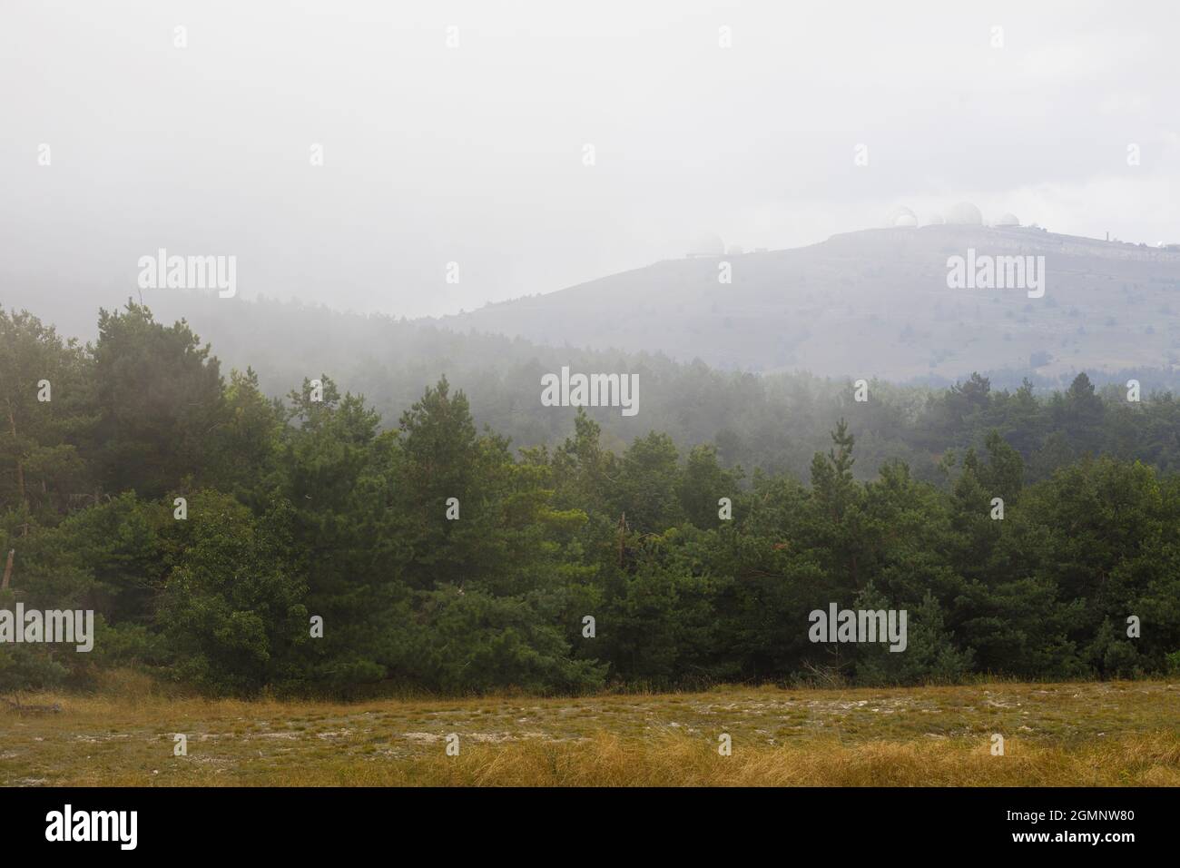 Vista di colline e montagne da un osservatorio in fitta nebbia. Fitta foresta di conifere. Foto Stock