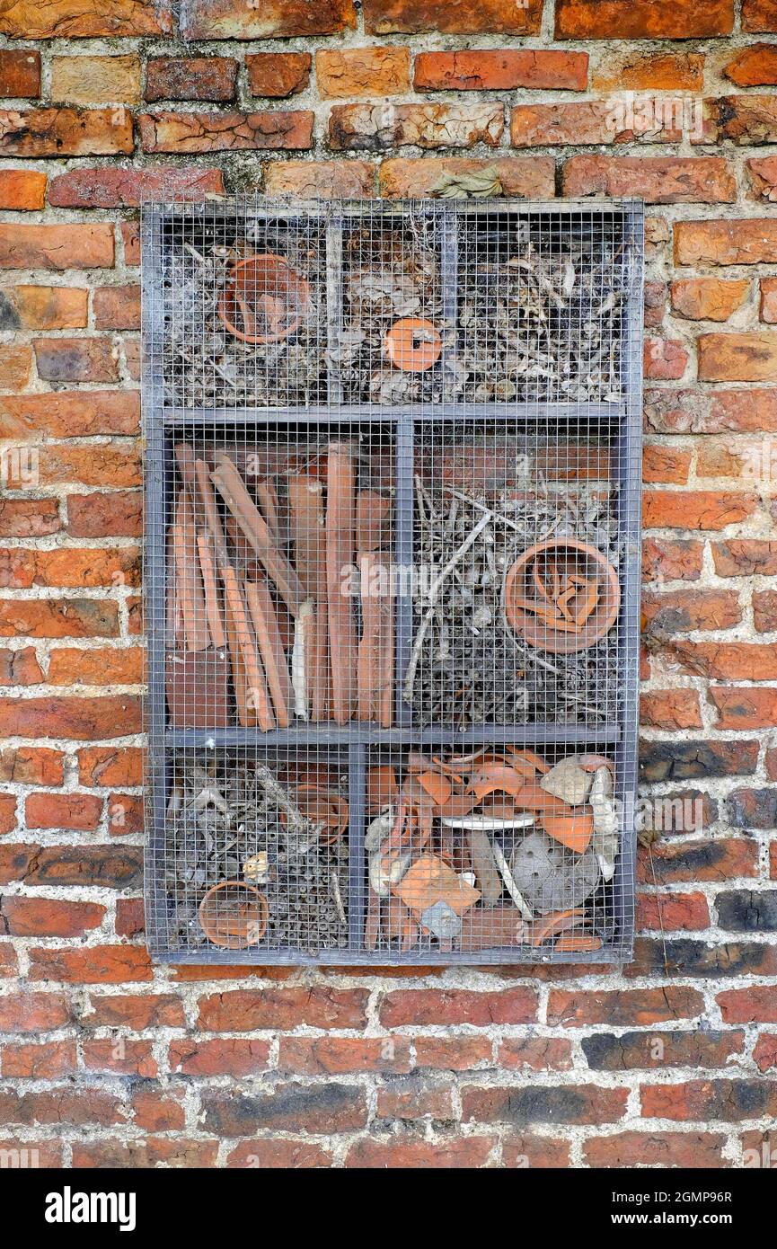 hotel di bug fatto in casa fissato a muro giardino in mattoni, yorkshire, inghilterra Foto Stock